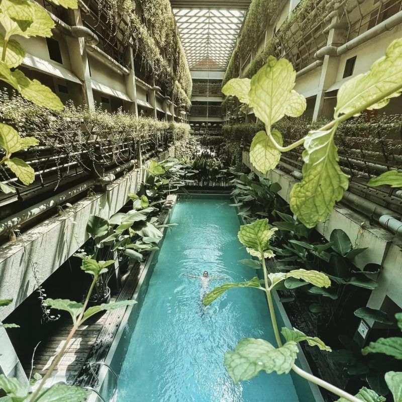 Unik dan Nyaman, Intip 5 Penginapan di Yogyakarta Rekomendasi&nbsp;FD!